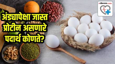 high protein foods