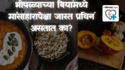 भोपळ्याच्या बियांमध्ये मांसाहारापेक्षा जास्त प्रथिनं असतात का? तज्ज्ञांचं उत्तर तुम्हाला चकित करेल!