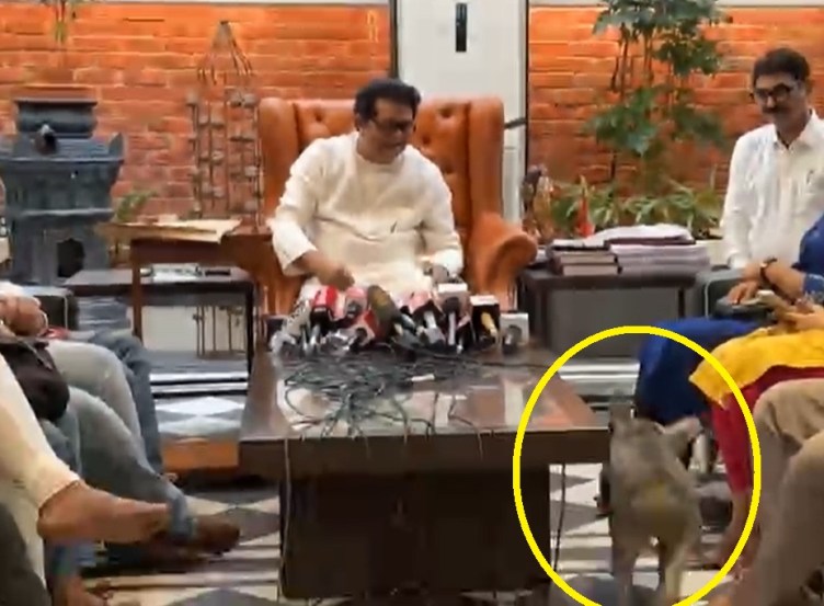 raj thackeray dog in press conference