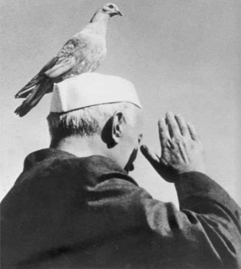 Kabutarkhana Controversy and PM Modi and Jawaharlal Nehru