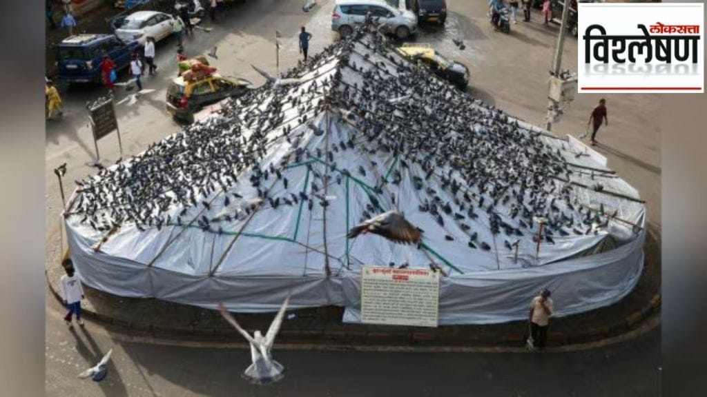 sacred tradition to shutdown The history and end of Mumbai Kabutarkhanas