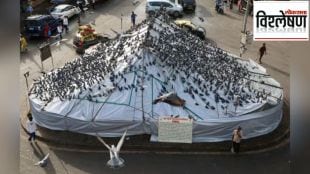 sacred tradition to shutdown The history and end of Mumbai Kabutarkhanas