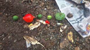 Superstition-type items changed in Sangli