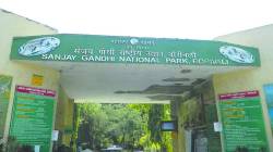 संजय गांधी राष्ट्रीय उद्यानातील धार्मिक कार्यक्रमांबाबत तक्रार दाखल; पर्यावरणप्रेमींचा संताप