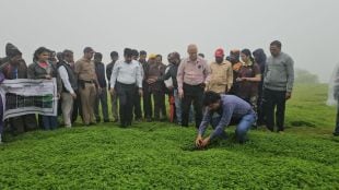 panchgani endangered flora restoration table land Sahyadri world heritage initiative for rare plants biodiversity conservation Santosh Patil IAS satara