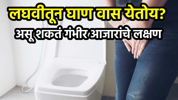 smelly urine reason urine odor causes symptoms of disease problems and solution urine smell doctor advice