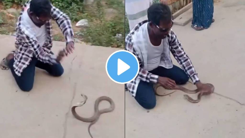 king cobra attack man died viral video