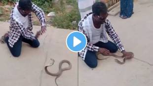 king cobra attack man died viral video