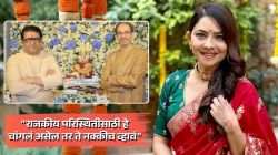 “हे कायमस्वरुपी व्हावं…”, राज आणि उद्धव ठाकरे यांच्या भेटीबद्दल सोनाली कुलकर्णीचं मत; म्हणाली…