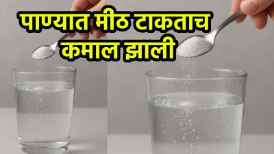 पाण्यात मीठ टाकताच कमाल झाली! परिणाम पाहून डोळ्यांवर विश्वास बसणार नाही…