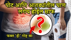 पोटात मल कुजत असेल तर फक्त ‘या’ गोष्टी खा! पोट आणि आतड्यांतील घाण लगेच होईल साफ, पचनही सुधारेल