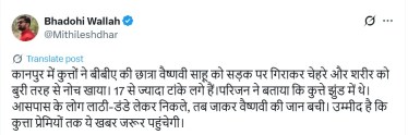 stray dog attack vaishnavi sahu