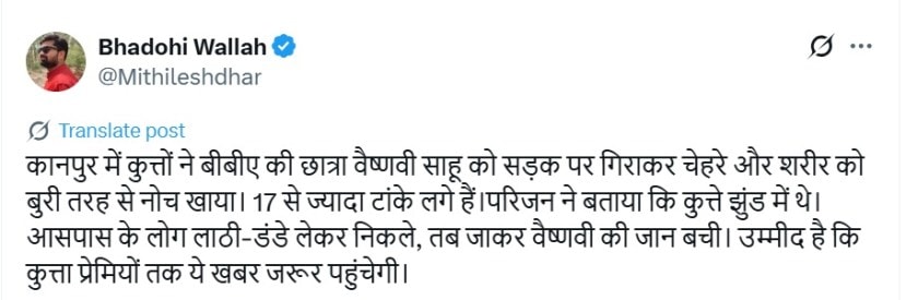 stray dog attack vaishnavi sahu