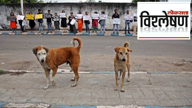 ८ लाख भटके कुत्रे, शेल्टर होम्सही नाहीत, सर्वोच्च न्यायालयाच्या आदेशानंतर काय करणार दिल्ली सरकार?