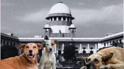 न्यायालयाच्या आदेशानुसार भटक्या श्वानांचा बंदोबस्त करा; भाजप प्रवक्ते खर्डेकर यांची महापालिका आयुक्तांकडे मागणी
