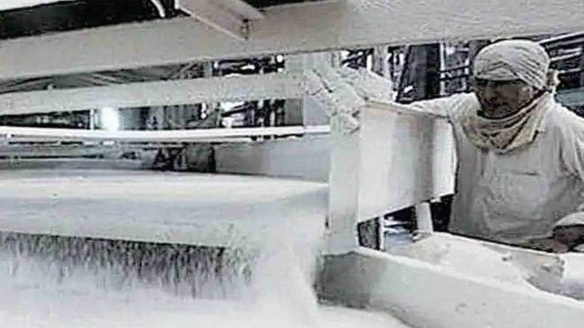 india sugar production estimate state wise details season output national federation maharashtra