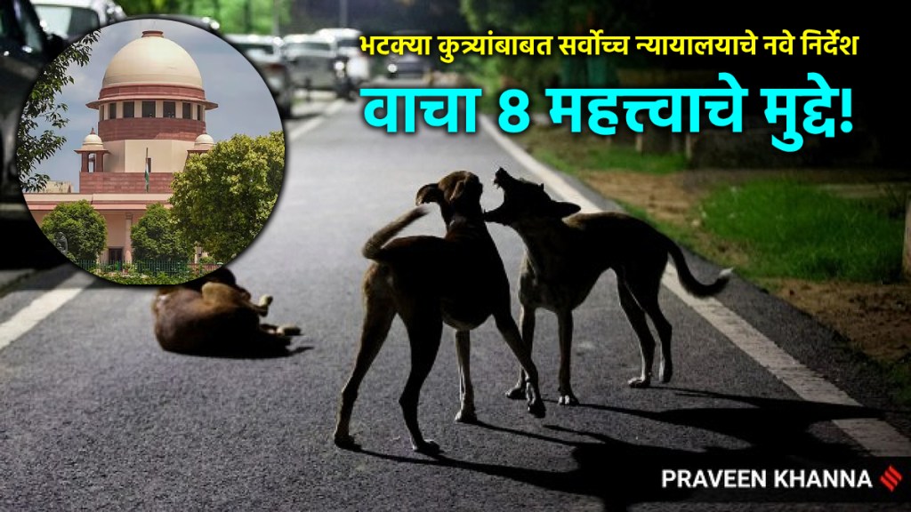 supreme court on stray dogs (1)