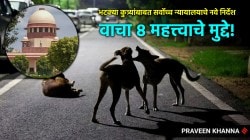 भटक्या कुत्र्यांबाबत सर्वोच्च न्यायालयाने नेमकं काय म्हटलं? वाचा महत्त्वाचे ८ मुद्दे
