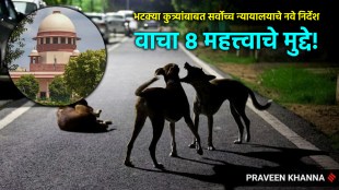 supreme court on stray dogs (1)