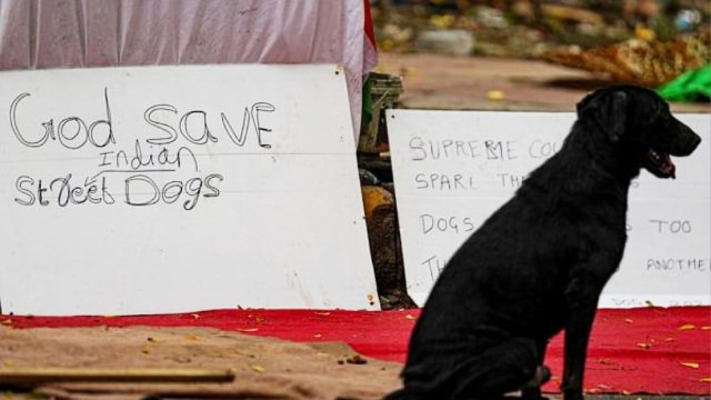 supreme court on stray dogs
