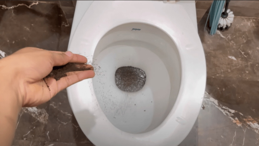 toilet cleaning with chai powder