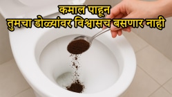 टॉयलेटमध्ये कॉफी टाकताच कमाल झाली! परिणाम पाहून डोळ्यांवर विश्वास बसणार नाही; एकही पैसा खर्च न करता जबरदस्त जुगाड