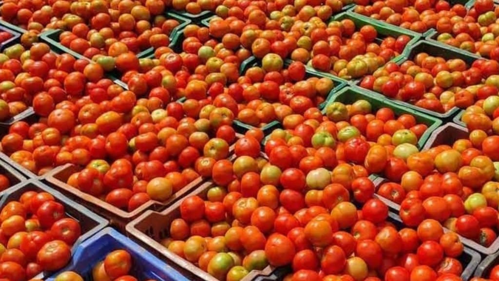 Tomatoes at Rs100 in retail market
