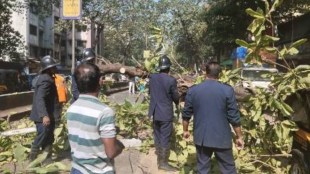 Mumbai dadar taxi tree fall accident