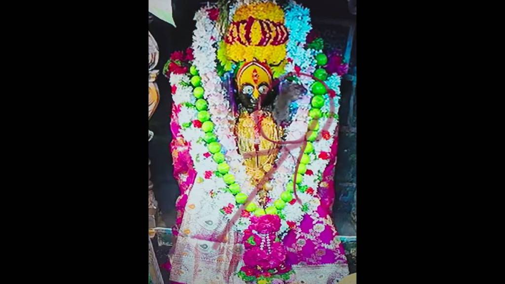 mouse spotted in tuljabhavani temple