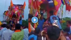 Video : बैलांप्रती कृतज्ञता व्यक्त करण्याची ३५० वर्षांची अनोखी परंपरा, चक्क रथात बसवून वृषभराजाची मिरवणूक…