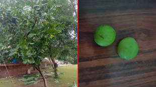 undale fruit benefits