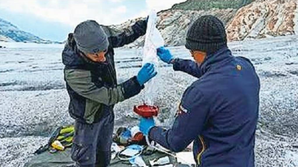 unknown microbes from ice