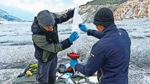 unknown microbes from ice