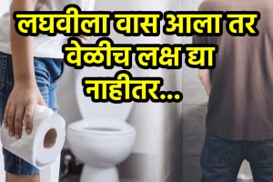 urine smell reason symptoms of disease like kidney, liver uti problem smell pee reason and solution