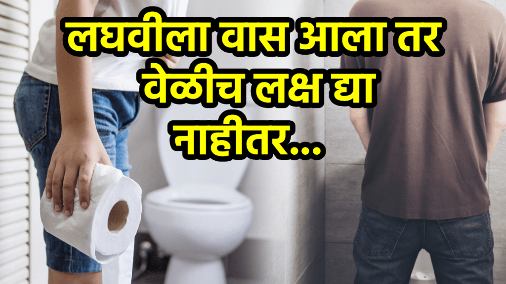 urine smell reason symptoms of disease like kidney, liver uti problem smell pee reason and solution
