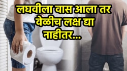 तुमच्या लघवीला वास येतो? हे गंभीर आजाराचं लक्षण? दुर्लक्ष केलं तर होतील भयंकर परिणाम; डॉक्टरांनी सांगितला जबरदस्त उपाय