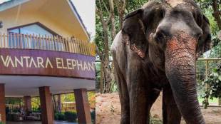 'Vantara' prepares to return Mahadevi elephant