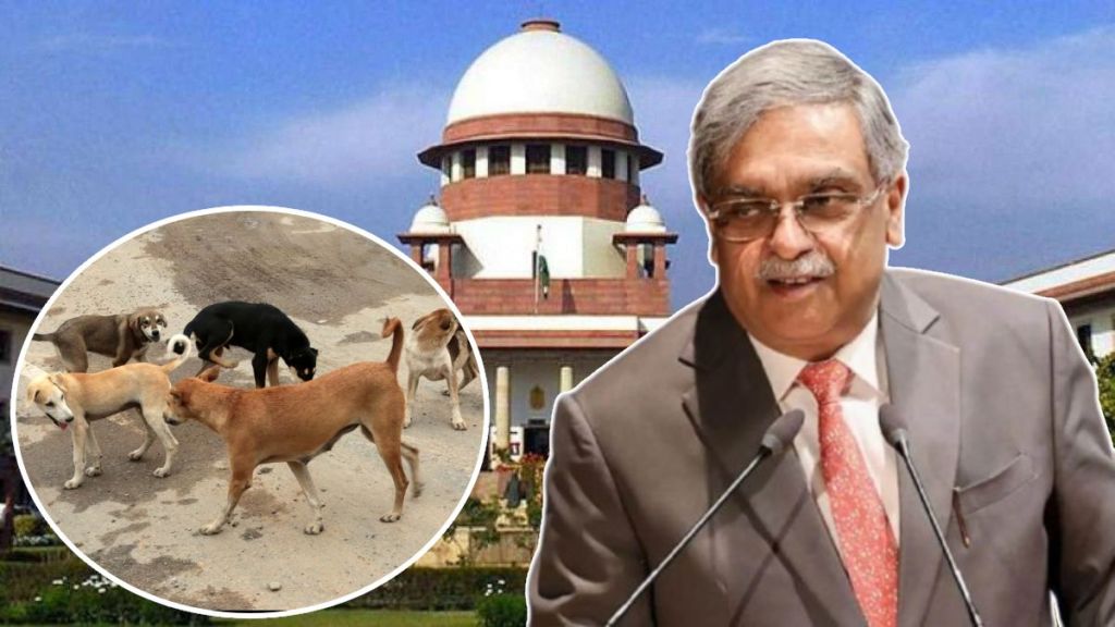 vikram nath sc judge stray dogs case