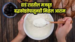 दह्यात फक्त ‘या’ २ गोष्टी मिक्स करून खा! हाडं राहतील मजबूत आणि बद्धकोष्ठतेपासूनही मिळेल आराम