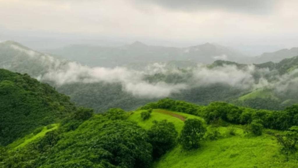 हिंडाल्कोच्या खाणीला केंद्राच्या वन पॅनेलने अंतिम मंजुरी नाकारली