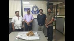 दापोलीत ५.४५ कोटींची व्हेलची वांती जप्त; कस्टम विभागाची मोठी कारवाई