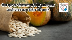 ब्लड शुगरपासून पुरुषांच्या प्रोटेस्ट आरोग्यापर्यंत, रोज मूठभर भोपळ्याच्या बियांच्या सेवनाचे आहेत अनेक फायदे, वाचा सविस्तर