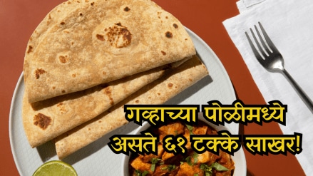 wheat roti