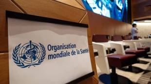 World Health Organization news
