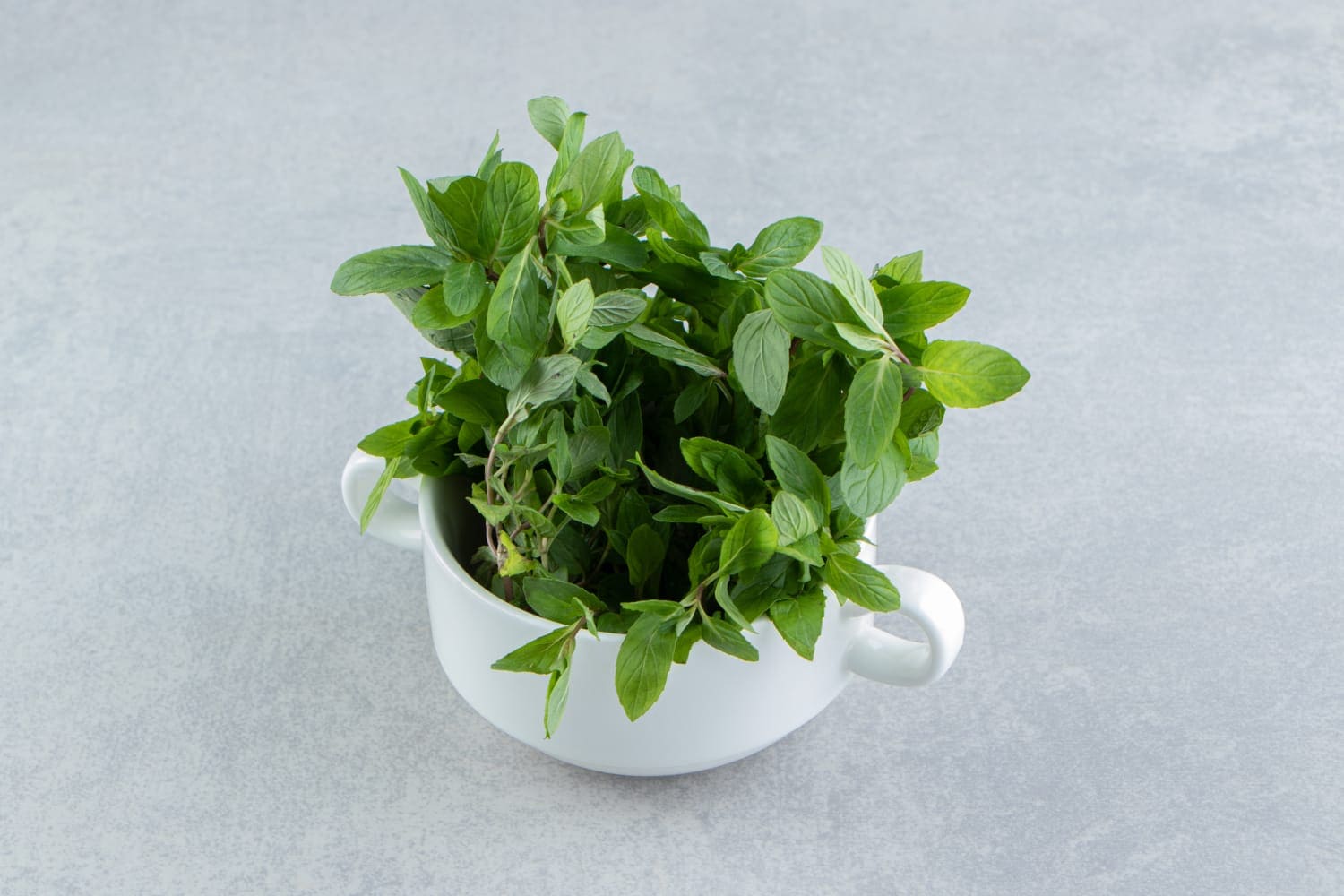Tulsi Water