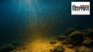 14 Million Kilos of Gold Hidden Beneath the Ocean
