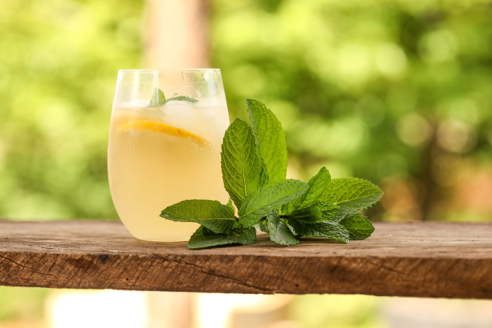 Tulsi Water