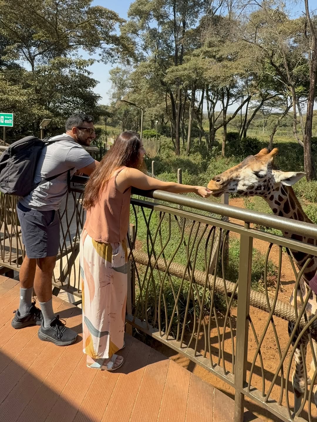  sonalee kulkarni travel nairobi giraffe centre