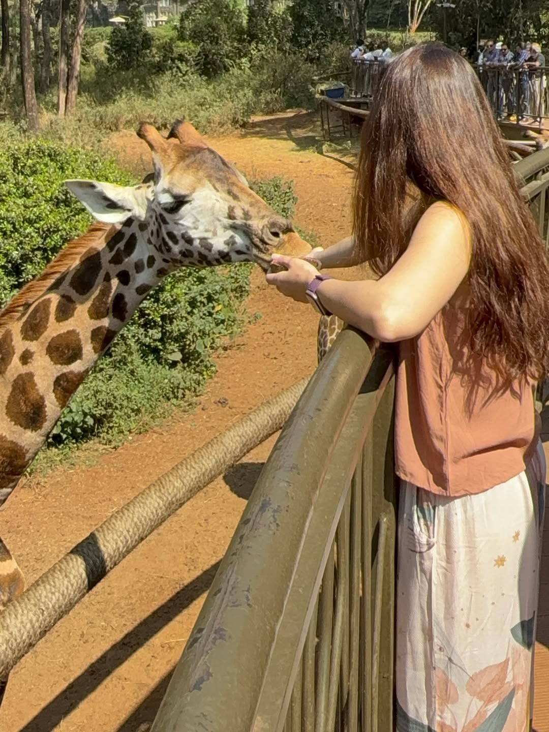  sonalee kulkarni travel nairobi giraffe centre