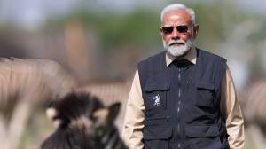 Pm Modi Birthday: ७५ वर्षांचे पंतप्रधान मोदी एवढे तंदुरुस्त कसे? जाणून घ्या त्यांचे फिटनेस सिक्रेट….